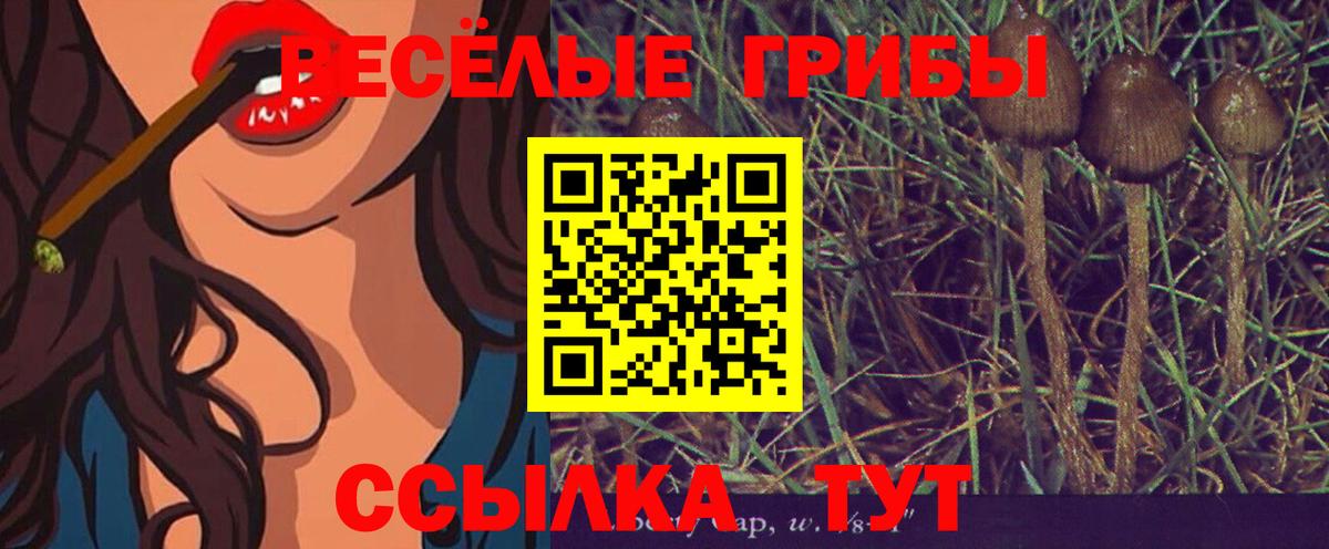 Псилоцибиновые грибы Psilocybine cubensis  как найти   Волоколамск  Вход с VPN  Псилоцибиновые грибы Psilocybine cubensis 