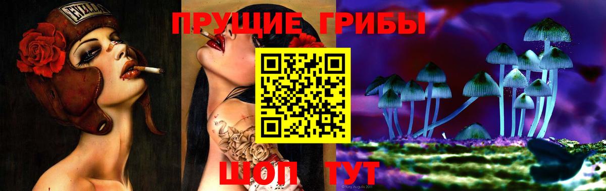 Галлюциногенные грибы прущие грибы Волоколамск